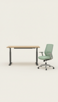Adjustable Sit-Stand Desk With Smooth Lift